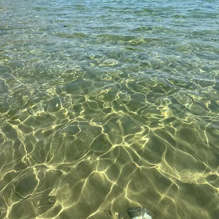 Alex شقة النايت