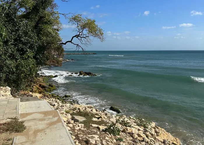 Alex Apartment Elenite