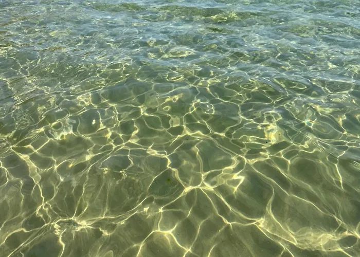 Alex Apartment Elenite